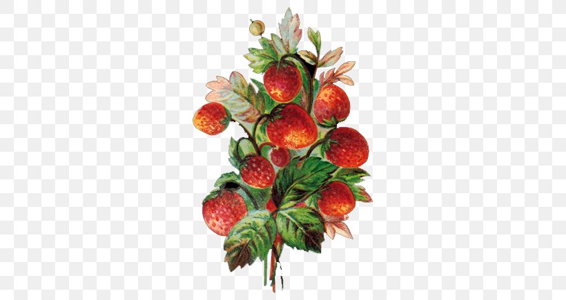 Strawberry Fruit Vegetable Blueberry, PNG, 580x435px, Strawberry, Auglis, Berry, Blackberry, Blueberry Download Free