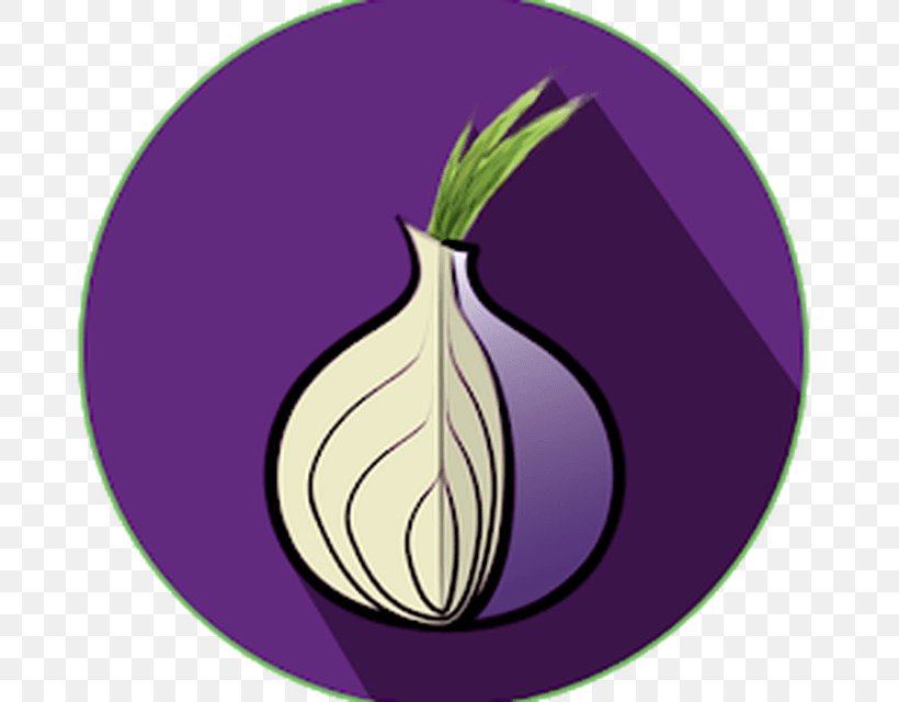 Tor Browser Computer Security .onion Computer Software, PNG, 800x640px, Tor, Anonymity, Computer Security, Computer Software, Flower Download Free