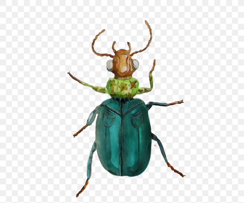 Insect Scarabs Pest Scarab, PNG, 600x683px, Watercolor, Insect, Paint, Pest, Scarab Download Free