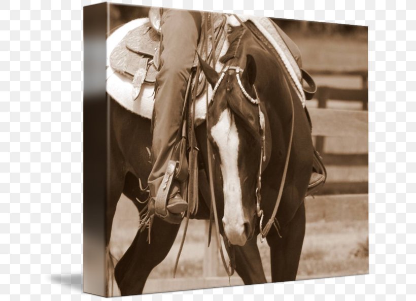 Paper Business Cards Horse Visiting Card Zazzle, PNG, 650x593px, Paper, Black And White, Bridle, Business Cards, Cardboard Download Free
