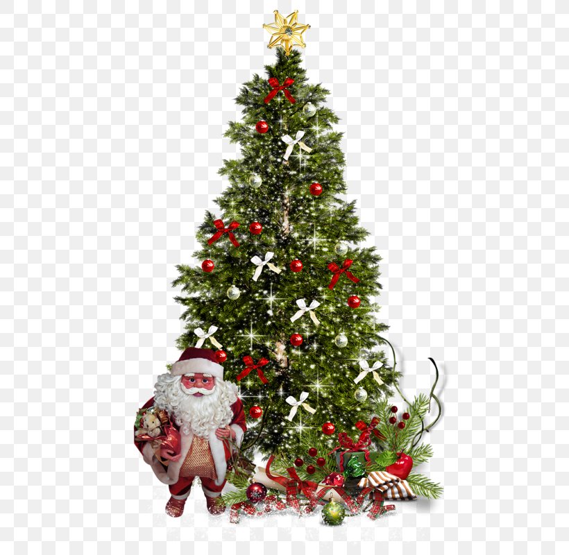 Christmas Tree, PNG, 481x800px, Christmas, Chart, Christmas Decoration, Christmas Ornament, Christmas Tree Download Free