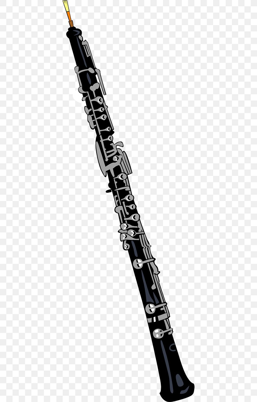 Clarinet Musical Instruments Oboe Clip Art, PNG, 640x1280px, Watercolor, Cartoon, Flower, Frame, Heart Download Free