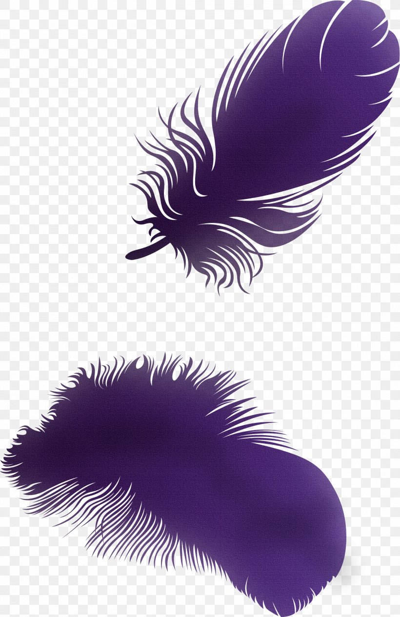 Feather Clip Art, PNG, 2179x3362px, Feather, Animation, Bird, Dots Per Inch, Photography Download Free