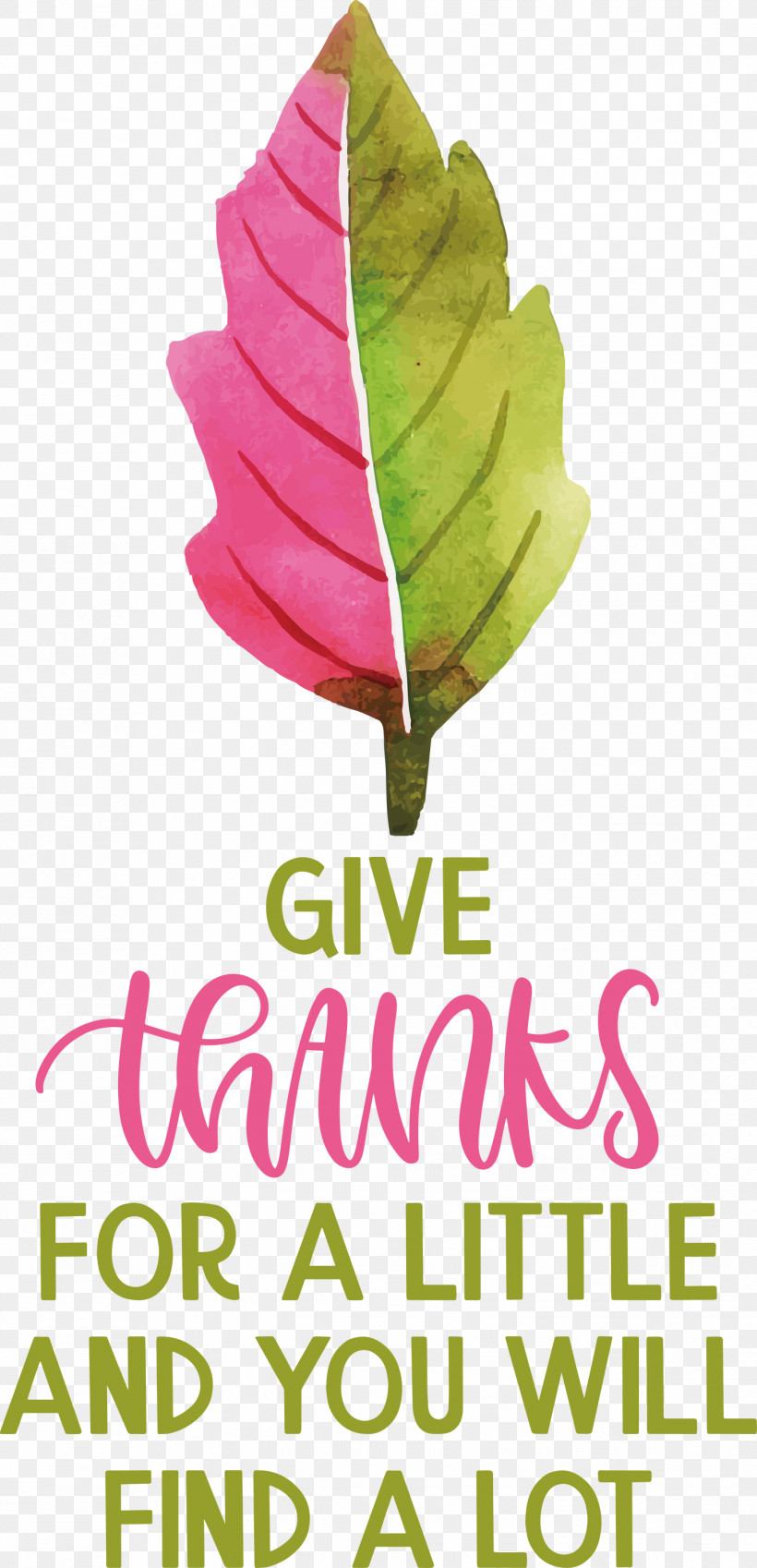 Give Thanks Thanksgiving, PNG, 1448x2999px, Give Thanks, Biology, Flower, Green, Leaf Download Free