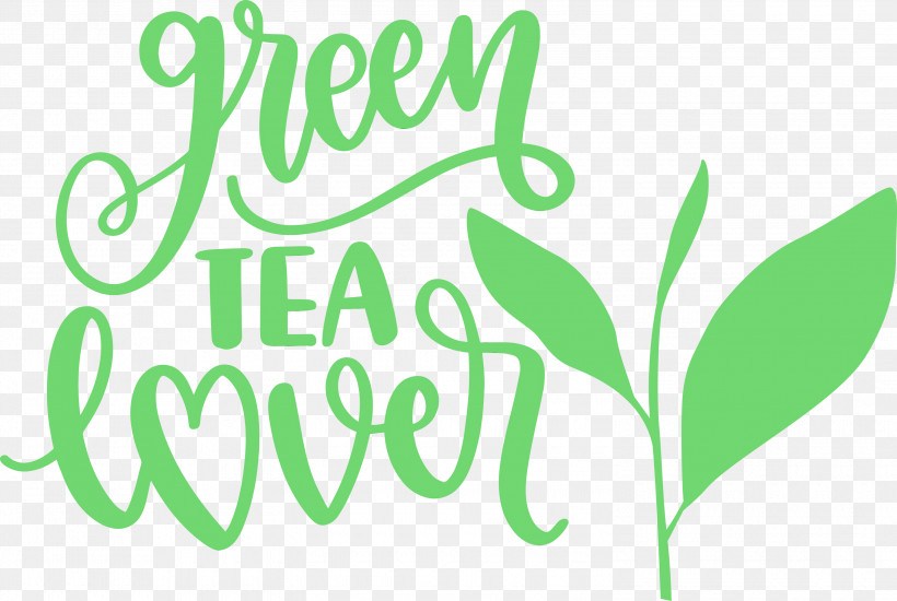 Logo Green Meter Leaf M-tree, PNG, 3000x2014px, Tea, Green, Leaf, Line, Logo Download Free