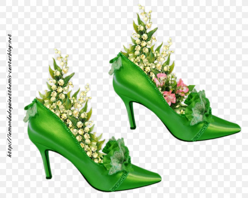 May 1 Lily Of The Valley Shoe, PNG, 1000x800px, May 1, Basic Pump, Com, Footwear, Garden Download Free