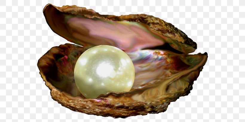 Parable Of The Pearl Parables Of Jesus Pearl Of Great Price Bible, PNG, 600x409px, Parable Of The Pearl, Abalone, Bible, Clam, Clams Oysters Mussels And Scallops Download Free