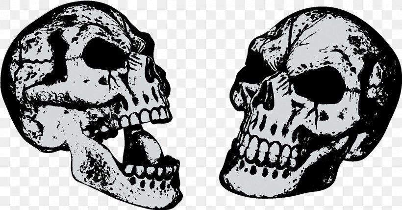 Skull Download, PNG, 1200x627px, Skull, Animation, Black And White, Bone, Head Download Free