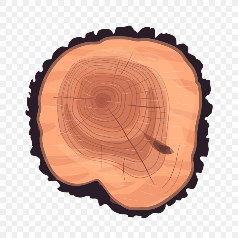 Tree Stump Trunk Wood, PNG, 1200x1200px, Tree, Drawing, Lumber, Lumberjack, Ring Download Free