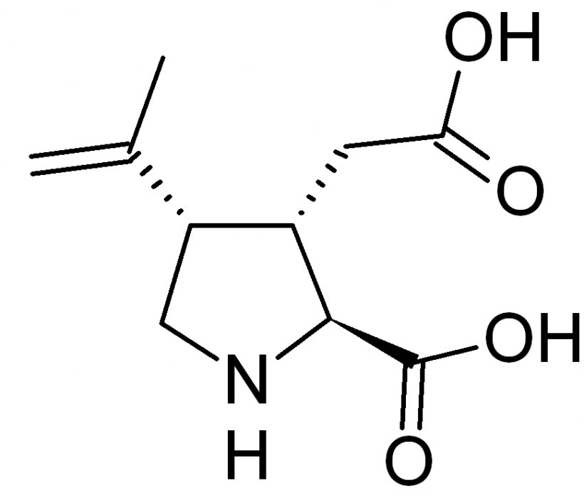 Kainic Acid Kainate Receptor Pharmaceutical Drug Chemical Substance, PNG, 869x746px, Kainic Acid, Acid, Alcohol, Allyl Alcohol, Amino Acid Download Free
