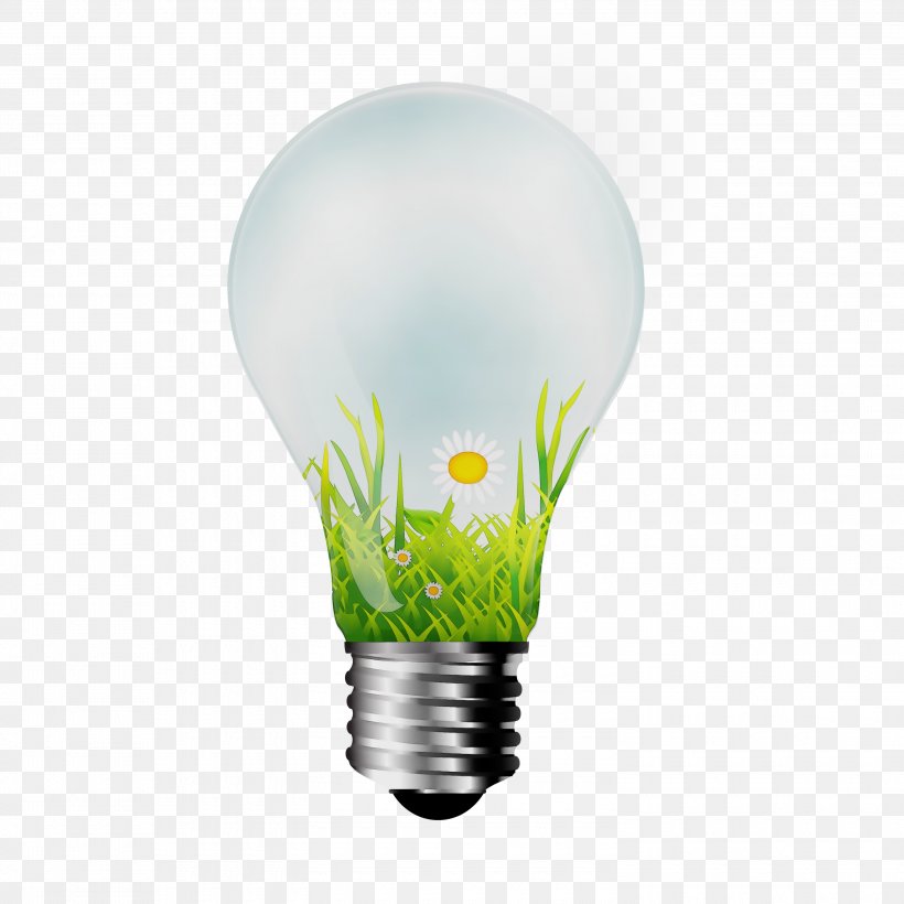 Light Bulb Cartoon, PNG, 3000x3000px, Watercolor, Compact Fluorescent Lamp, Fluorescent Lamp, Green, Incandescent Light Bulb Download Free