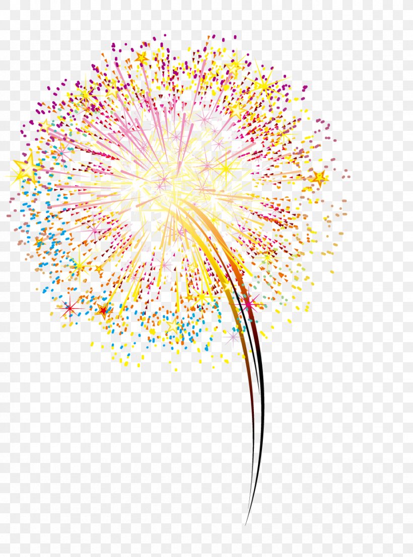 Fireworks, PNG, 924x1248px, Fireworks, Art, Flower, Flowering Plant, Petal Download Free