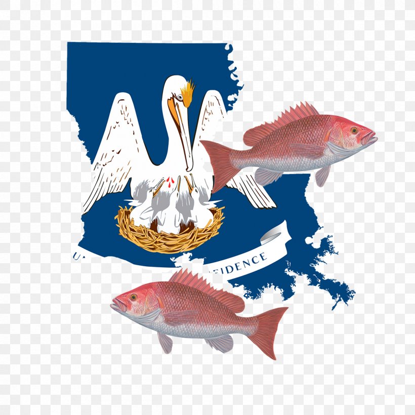 New Orleans Flag Of Louisiana State Flag U.S. State, PNG, 1200x1200px, New Orleans, Davlat Ramzlari, Fauna, Fish, Flag Download Free