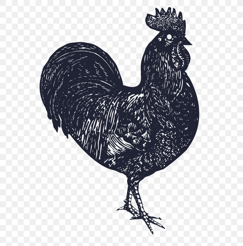 Rooster Rotisserie Chicken Dodo Chicken, PNG, 600x831px, Rooster, Beak, Bird, Black And White, Chicken Download Free