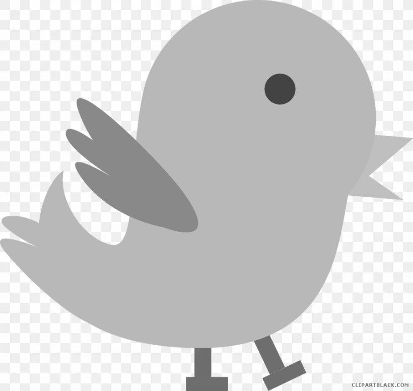 Bird Clip Art Duck Image, PNG, 900x851px, Bird, Beak, Black And White, Cartoon, Chicken Download Free
