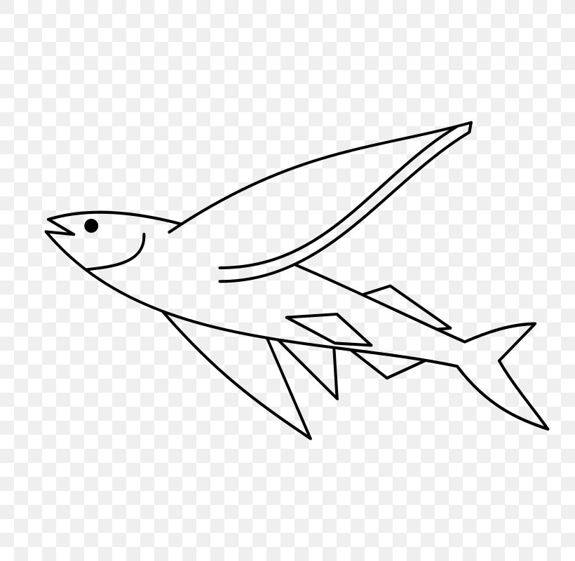 Flying Fish Clip Art, PNG, 800x800px, Flying Fish, Area, Art, Artwork, Beak Download Free