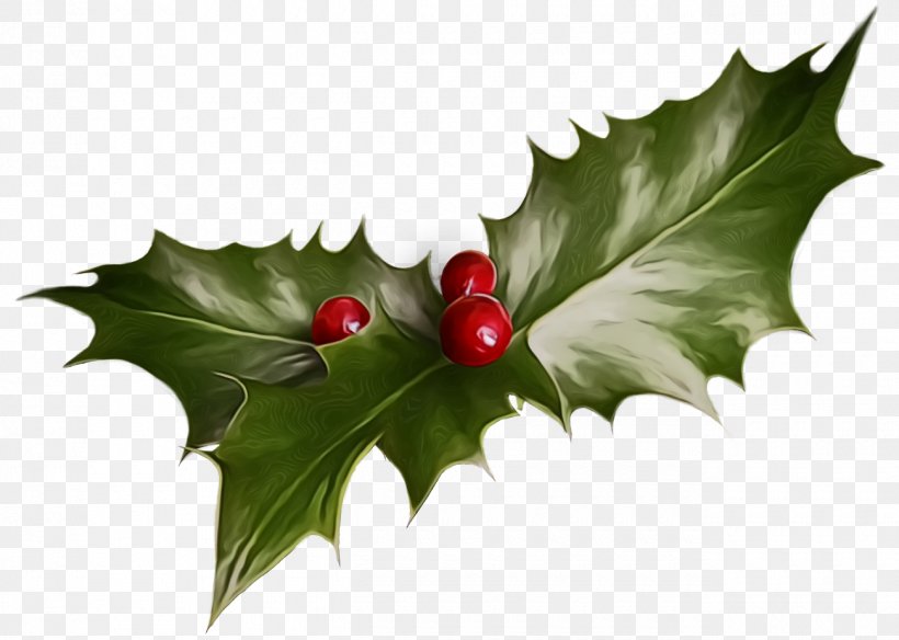 Holly, PNG, 1300x926px, Christmas Holly, American Holly, Christmas, Flower, Hawthorn Download Free
