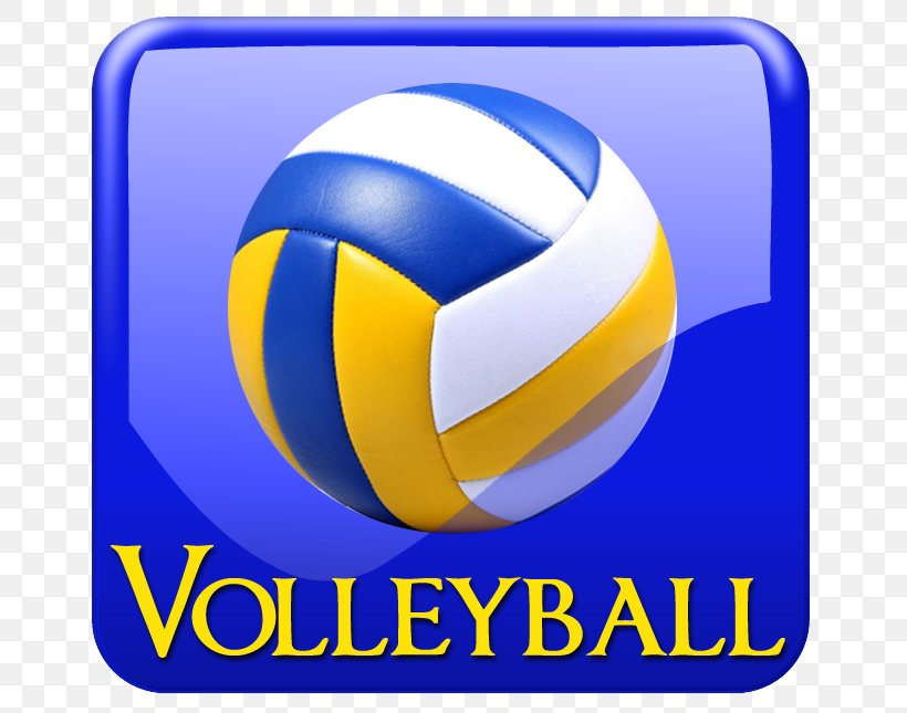 Sport Volleyball Volleyfest Head Basketball, PNG, 678x645px, Sport, Area, Ball, Baseball, Basketball Download Free