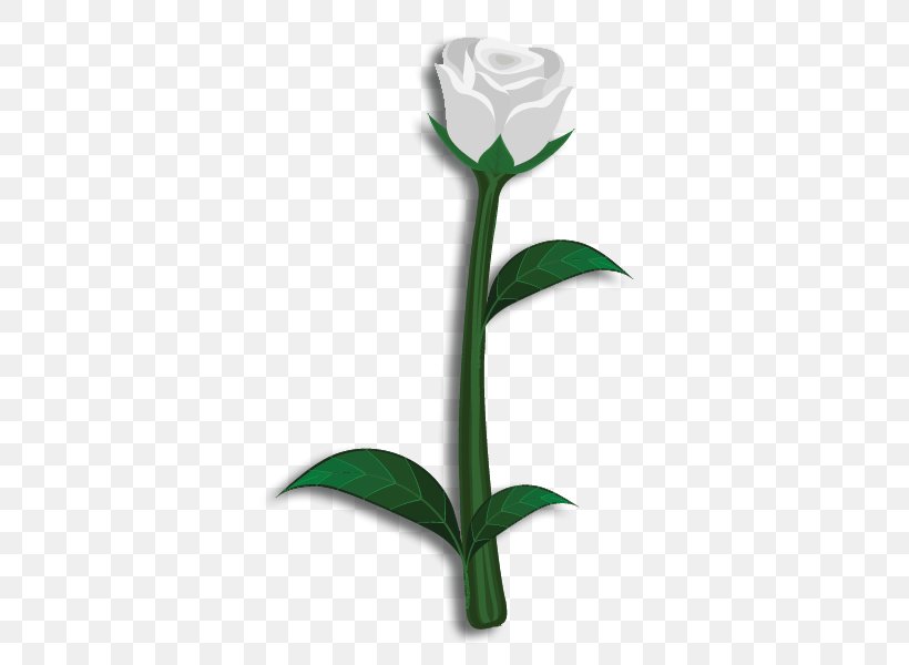 Cut Flowers Rose Theta Phi Alpha Lily, PNG, 600x600px, 1800flowers, Cut Flowers, Arum Family, Botany, Flower Download Free