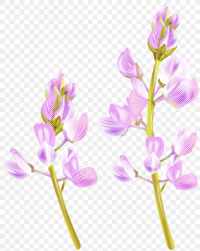 Lavender, PNG, 2387x2999px, Flower, Cut Flowers, Lavender, Lilac, Pedicel Download Free