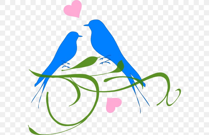 Lovebird Clip Art, PNG, 600x530px, Lovebird, Area, Art, Artwork, Beak Download Free