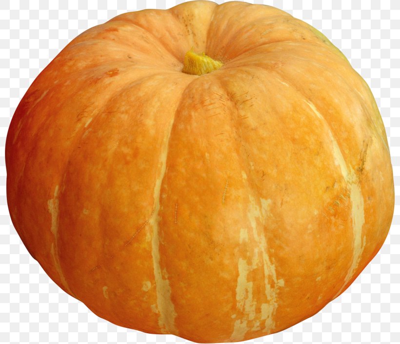 Pumpkin Gourd Winter Squash Cucurbita Vegetarian Cuisine, PNG, 800x704px, Pumpkin, Apple, Calabaza, Cucumber Gourd And Melon Family, Cucurbita Download Free