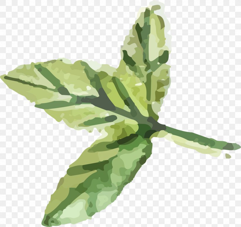 Spring Greens Herbalism Leaf Plant Stem, PNG, 1842x1731px, Spring Greens, Herb, Herbalism, Leaf, Leaf Vegetable Download Free
