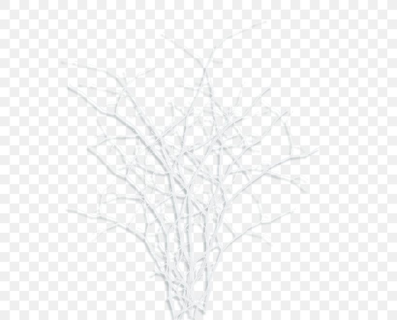 Twig Drawing White /m/02csf Line, PNG, 600x660px, Twig, Black And White, Branch, Drawing, Grass Download Free