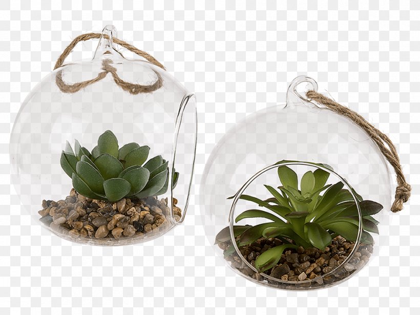 Crystal Ball Succulent Plant Glass Cactaceae Common Houseleek, PNG, 945x709px, Crystal Ball, Ball, Cactaceae, Cactus, Ceramic Download Free