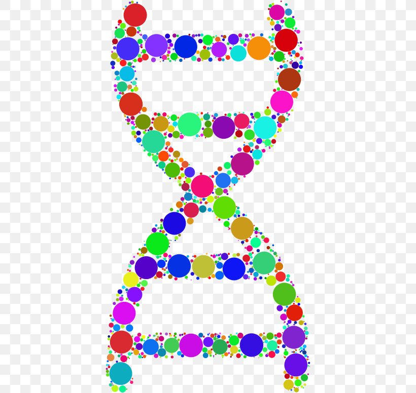 Nucleic Acid Double Helix Circle DNA Clip Art, PNG, 404x776px, Nucleic Acid Double Helix, Area, Com, Dna, Helix Download Free