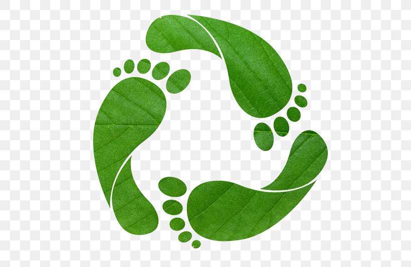 Carbon Footprint Ecological Footprint Greenhouse Gas Natural Environment Carbon Dioxide, PNG, 800x533px, Carbon Footprint, Carbon, Carbon Dioxide, Carbon Neutrality, Ecological Footprint Download Free