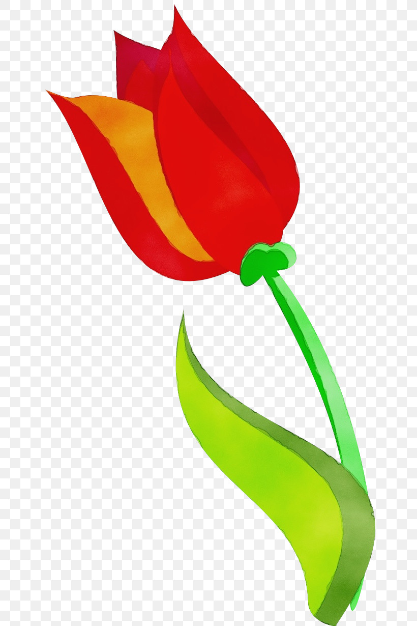 Tulip Plant Flower Petal, PNG, 656x1230px, Watercolor, Flower, Paint, Petal, Plant Download Free