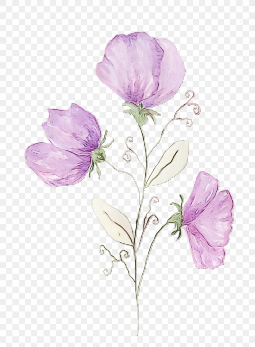 Purple Watercolor Flower, PNG, 1177x1600px, Watercolor, Bellflower, Cabbage Rose, Cut Flowers, Evening Primrose Family Download Free