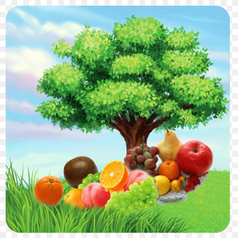 Tree Cartoon Drawing Clip Art, PNG, 1024x1024px, Tree, Cartoon, Drawing, Food, Fruit Download Free