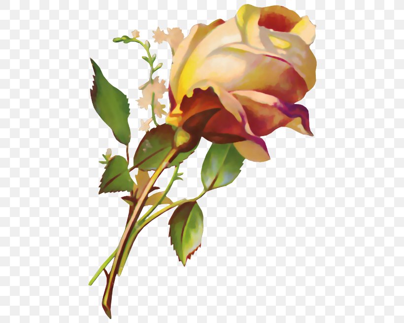 Flower Decoupage Desktop Wallpaper Clip Art, PNG, 490x655px, Flower, Bud, Cut Flowers, Decoupage, Diary Download Free