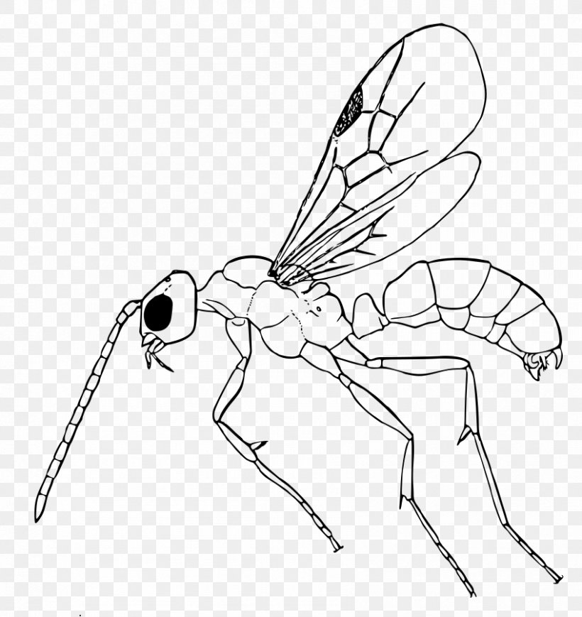 Insect White Line Art Pest Wing, PNG, 849x900px, Insect, Fly, Head, Line Art, Membranewinged Insect Download Free