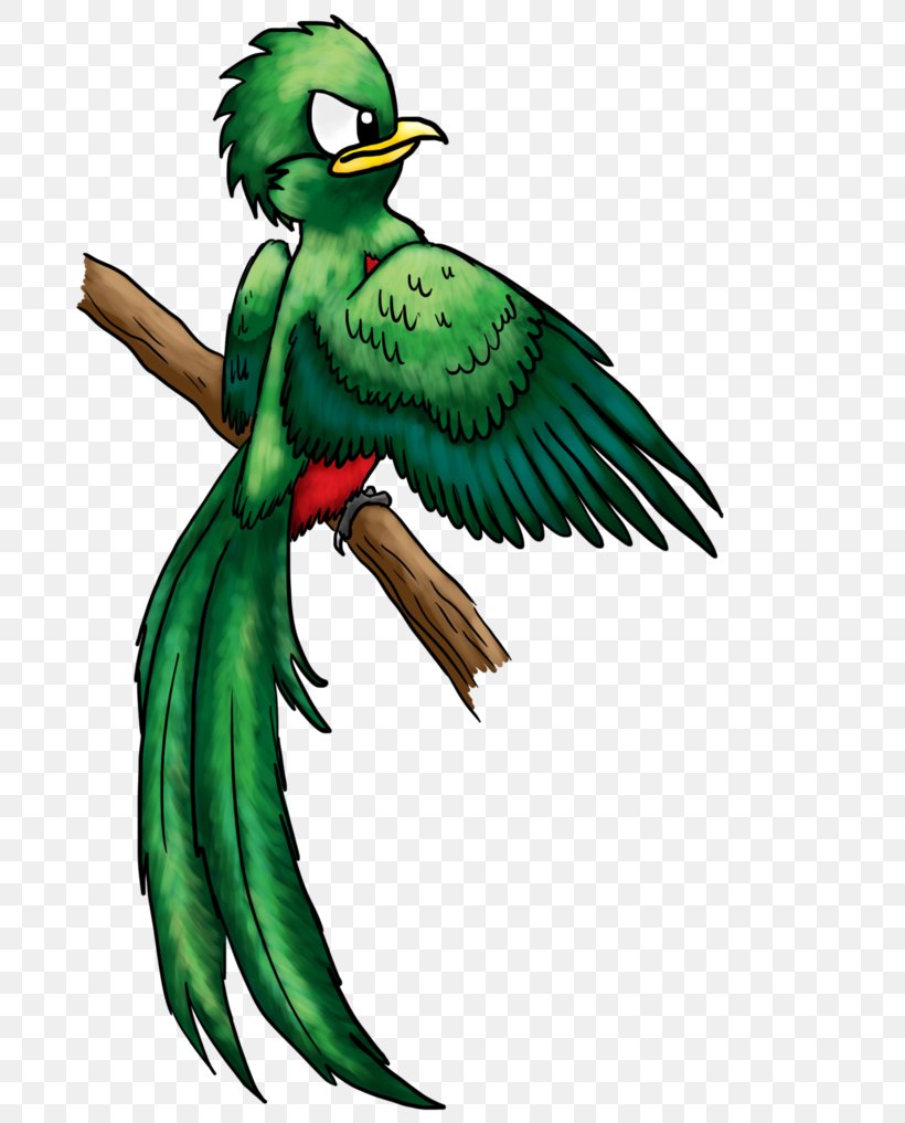 Macaw Parakeet Beak Feather, PNG, 786x1017px, Macaw, Art, Beak, Bird, Fauna Download Free
