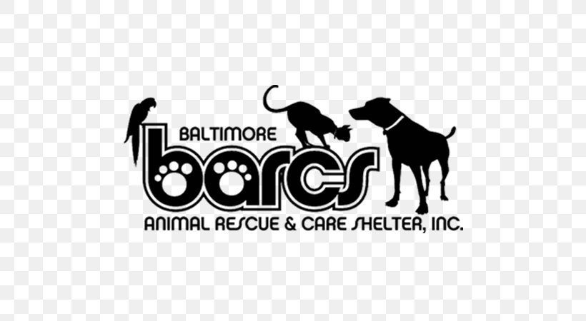 The Baltimore Animal Rescue And Care Shelter (BARCS) Dog Cat Animal Shelter Organization, PNG, 800x450px, Dog, Animal, Animal Rescue Group, Animal Shelter, Baltimore Download Free