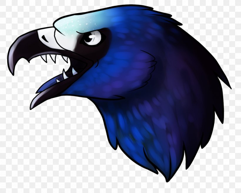 Bird Of Prey Cobalt Blue Beak Feather, PNG, 1000x800px, Bird, Beak, Bird Of Prey, Blue, Cobalt Download Free