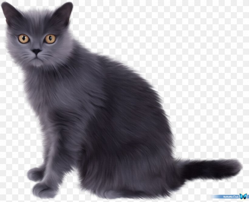 Persian Cat Kitten Pet Sitting Clip Art, PNG, 1279x1038px, Persian Cat, Asian, Asian Semi Longhair, Black Cat, British Semi Longhair Download Free