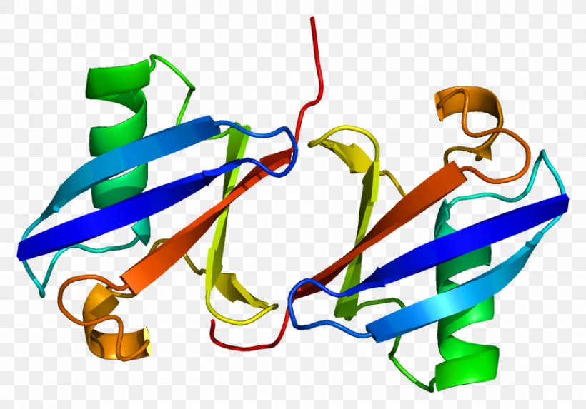 Ubiquitin C Ubiquitin B Ubiquitin A-52 Residue Ribosomal Protein Fusion Product 1, PNG, 892x624px, Watercolor, Cartoon, Flower, Frame, Heart Download Free