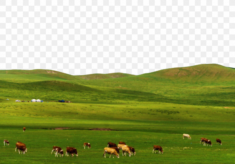 Grassland Sheep Steppe Grazing Meadow, PNG, 1742x1216px, Grassland, Ecology, Ecoregion, Farm, Grazing Download Free