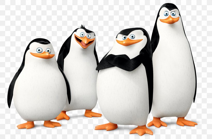 Kowalski Skipper Penguin Madagascar Film, PNG, 1600x1051px, Kowalski, Animation, Beak, Bird, Dreamworks Animation Download Free