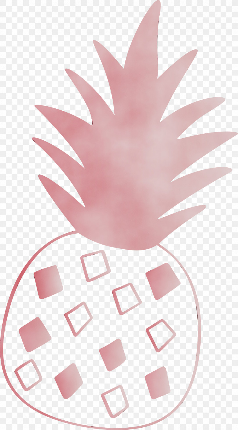 Pineapple, PNG, 1661x2999px, Pineapple, Biology, Drawing, Leaf, Paint Download Free