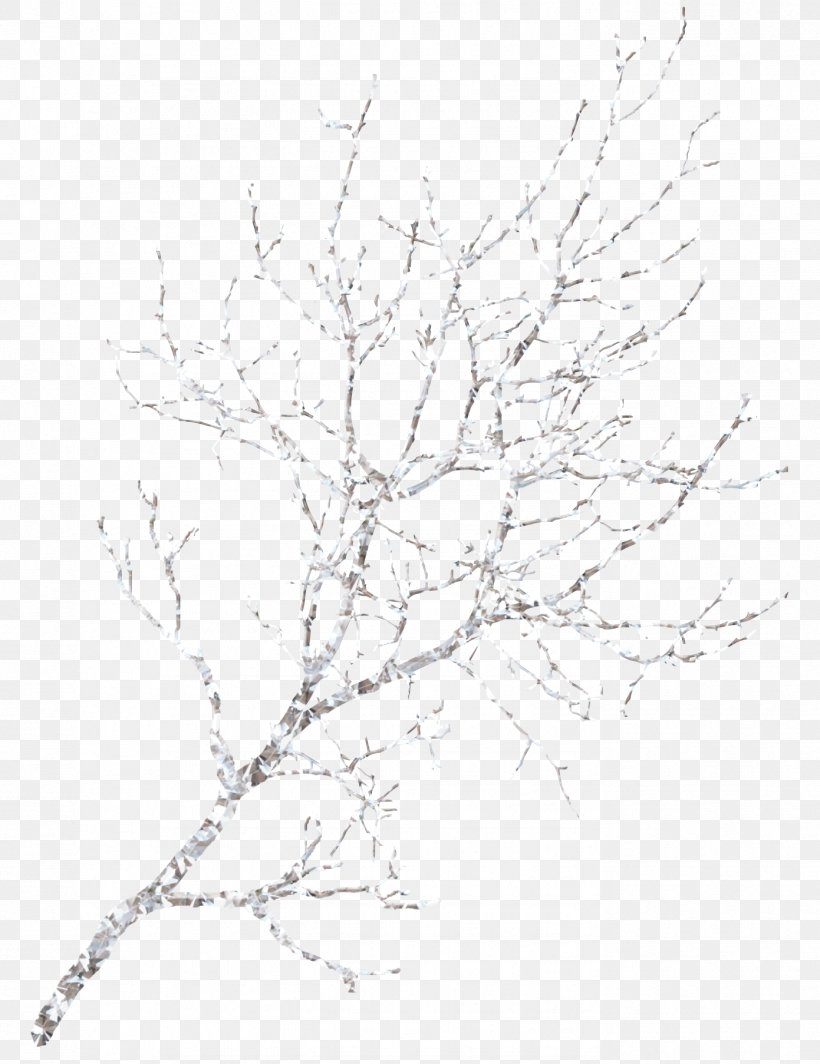 Snow Winter Symmetry Line Art Pattern, PNG, 1391x1806px, Black And White, Branch, Line Art, Monochrome, Monochrome Photography Download Free