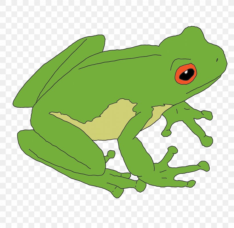 True Frog Toad Clip Art Illustration, PNG, 1078x1050px, Frog, Amphibian, Animal, Class, Fauna Download Free