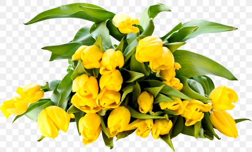 Desktop Wallpaper Yellow Tulip Color, PNG, 2791x1686px, Yellow, Color, Computer Monitors, Cut Flowers, Floral Design Download Free