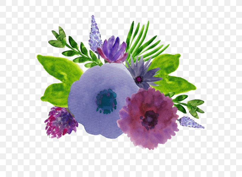 Flower Watercolor Painting Drawing Purple, PNG, 600x600px, Flower, Anemone, Annual Plant, Aster, Color Download Free