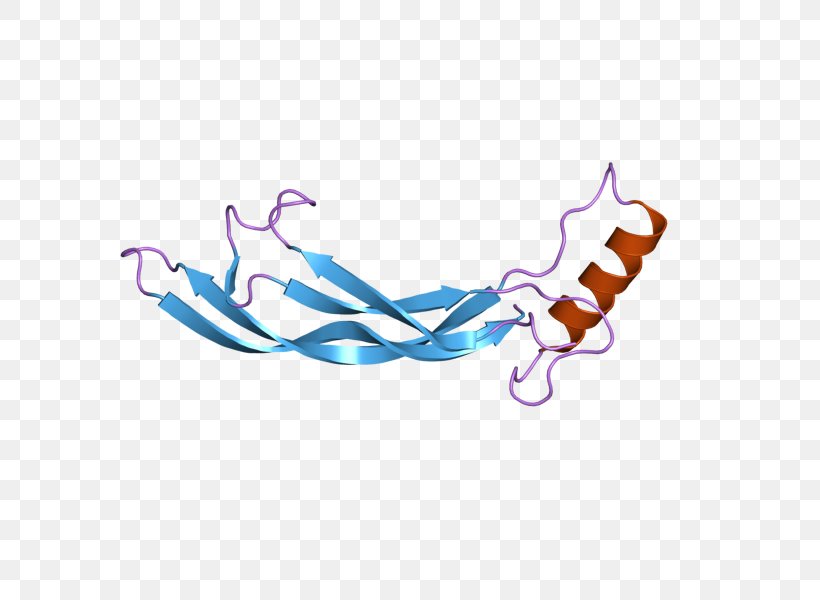 GDF2 Bone Morphogenetic Protein Growth Differentiation Factor Hepcidin, PNG, 800x600px, Bone Morphogenetic Protein, Basal Forebrain, Bone Morphogenetic Protein 4, Gene, Gene Therapy Download Free