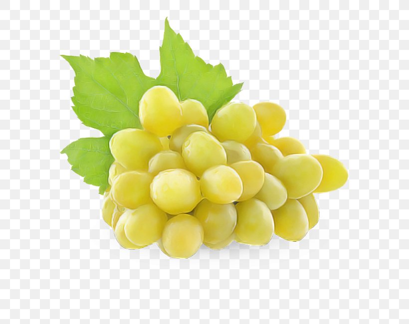 Grape Grapevine Family Seedless Fruit Food Fruit, PNG, 650x650px, Grape, Food, Fruit, Grapevine Family, Natural Foods Download Free